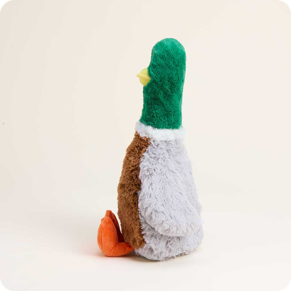 mallard pet toy warmies