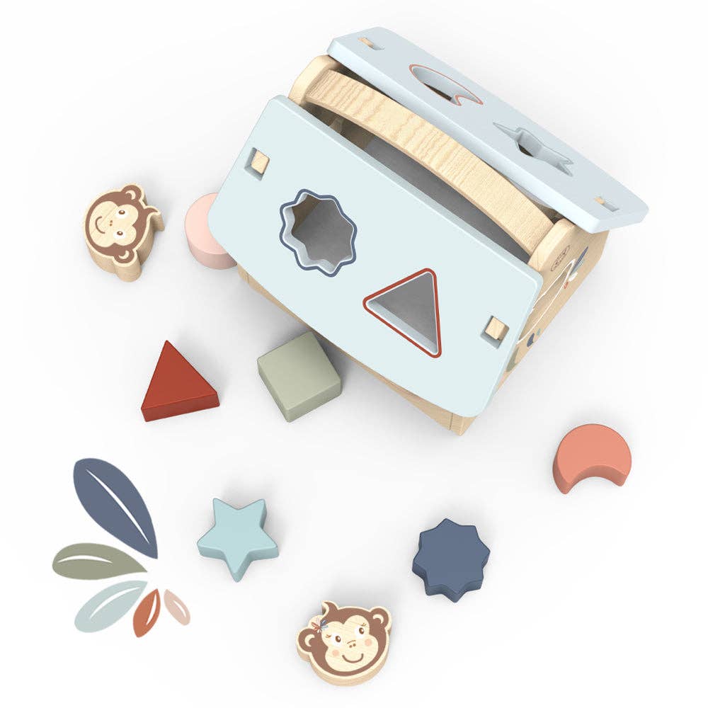 house shape sorter