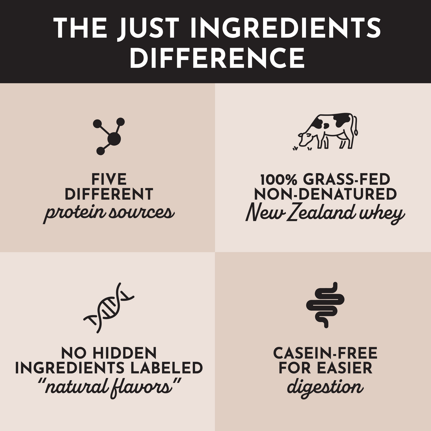 peppermint chocolate protein powder