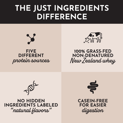 peppermint chocolate protein powder