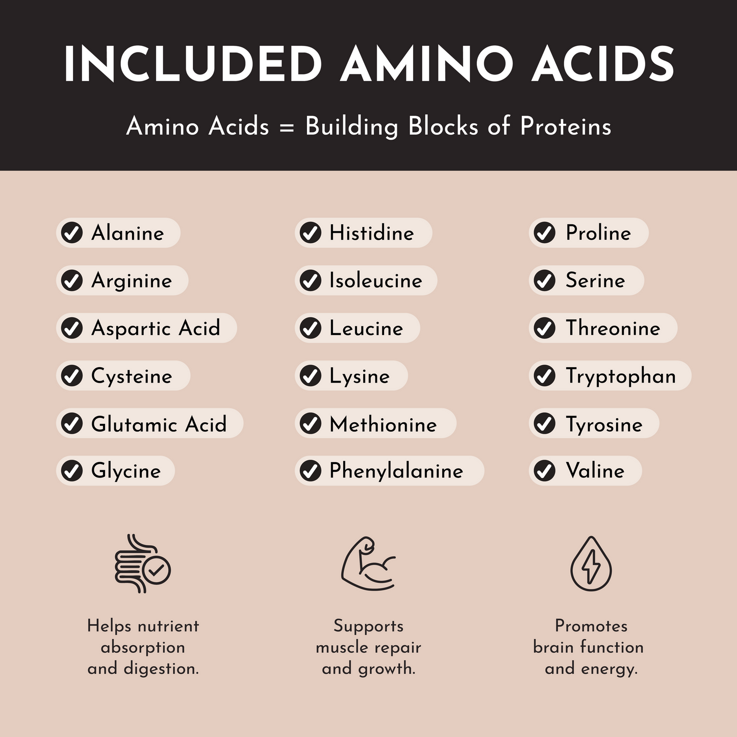 peppermint chocolate protein powder