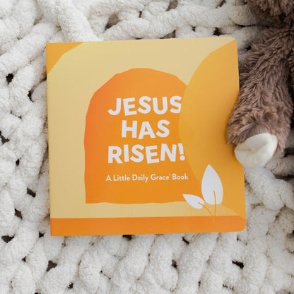 Jesus has risen board book