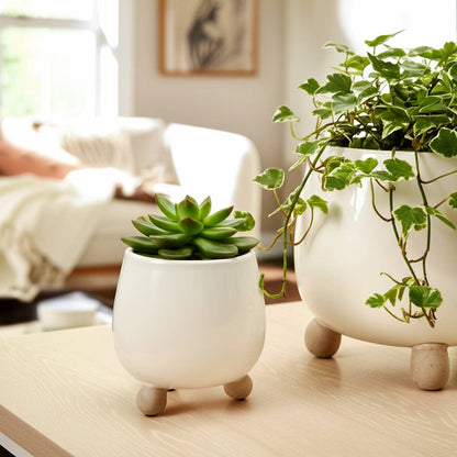 ivory round planter with knobby feet