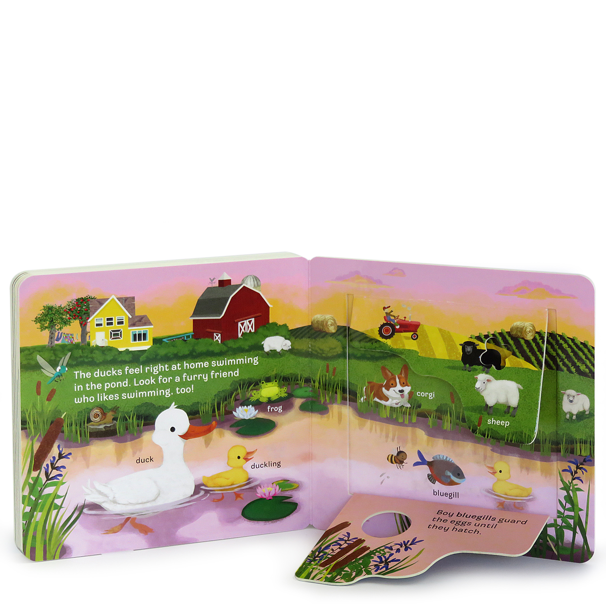 moo lift a flap farm board book