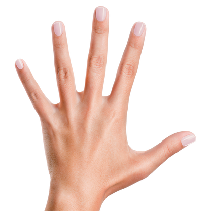 basecoat + sealer - piggy paint