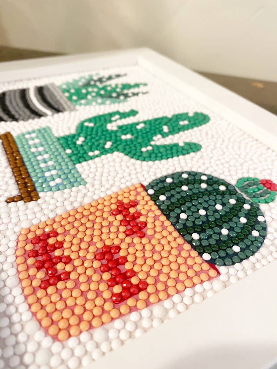 cactus diamond art kit