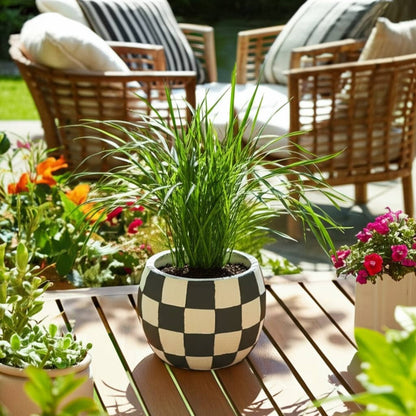 black + white pottery checkerboard rounded planter
