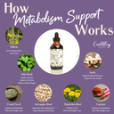 metabolism support - for healthy metabolism and weight