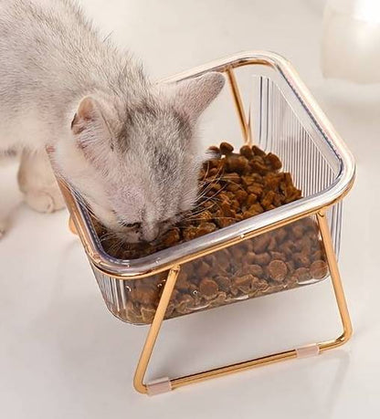 single feeding + water bowl, transparent