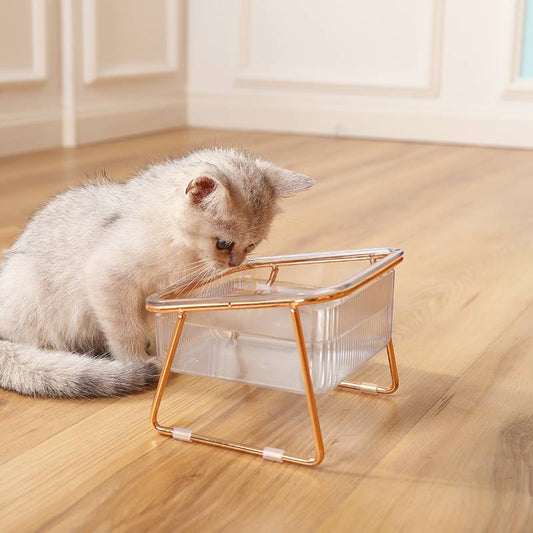 single feeding + water bowl, transparent